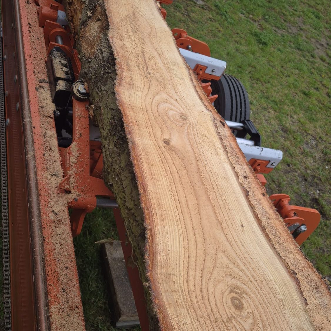 LT 20 Woodmizer, mobiler Holzschnitt