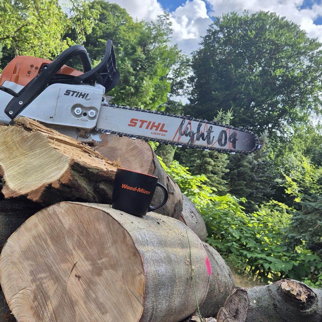 Holzernte, Kettensäge